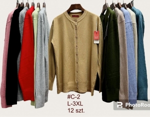 Sweter damski (L-3XL) DH1416