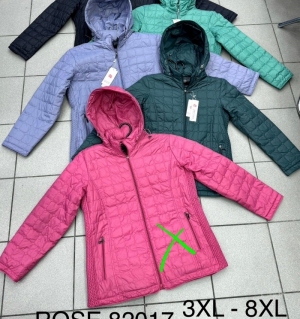 Kurtka damska jesienna (3XL-8XL) DH13278