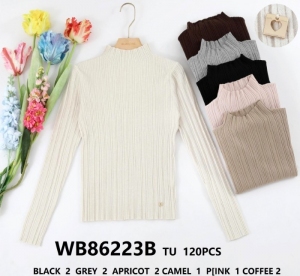 Sweter damski (Standard) NG1067