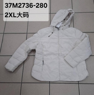 Kurtka damska jesienna (2XL-6XL) NG1480