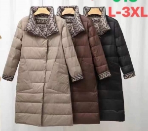 Kurtka damska jesienna (L-3XL) DH5134
