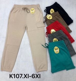 Spodnie dresowe damskie (XL-6XL) TP6468