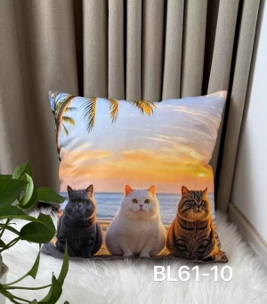 Poszewki (40x40) NG259