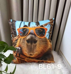 Poszewki (40x40) NG263