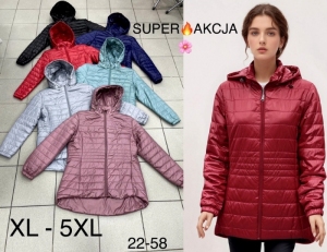 Kurtka damska jesienna (XL-5XL) DH13232