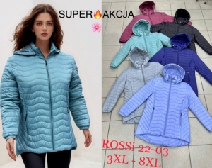 Kurtka damska jesienna (3XL-8XL) DH13271