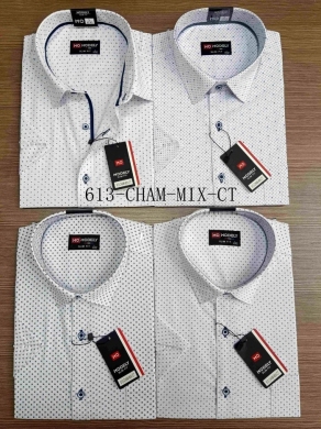Koszule męskie na krótki rękaw (M-3XL) DH14514