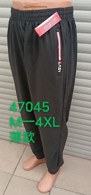 Spodnie dresowe męskie (M-4XL) TPA5486