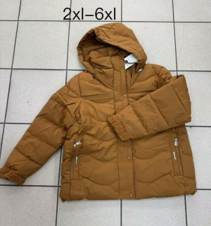 Kurtka damska jesienna (2XL-6XL) NG1487