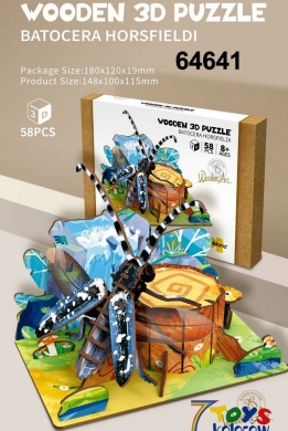 Puzzle DH8705