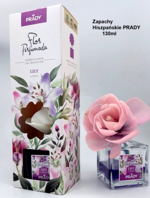 Zapachy do domu (100ML) DH15516