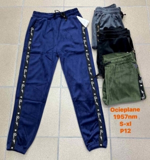 Spodnie welurowe damskie (S-XL) TPA1566