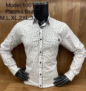 Koszule męskie na długi rękaw - Tureckie (M-3XL) TPA3662