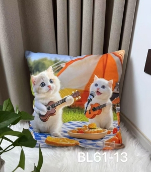 Poszewki (40x40) NG257