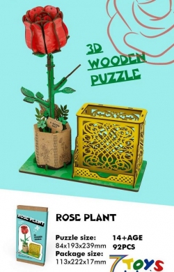 Puzzle DH8707