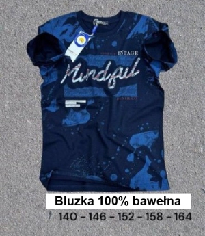 Bluzki chłopięce na krótki rękaw (140-164) DH11655