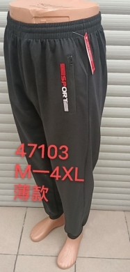 Spodnie dresowe męskie (M-4XL) TPA5488
