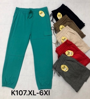Spodnie dresowe damskie (XL-6XL) TP6471