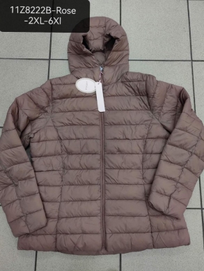 Kurtka damska jesienna (2XL-6XL) NG1454