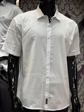 Koszule męskie na krótki rękaw REGULAR - Tureckie (2XL-6XL) DH14791