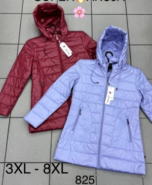 Kurtka damska jesienna (3XL-8XL) DH13275