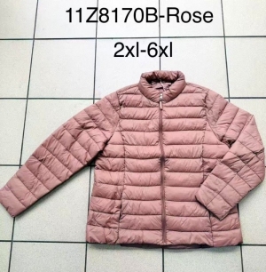Kurtka damska jesienna (2XL-6XL) NG1447