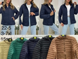 Kurtka damska jesienna (3XL-7XL) DH11949