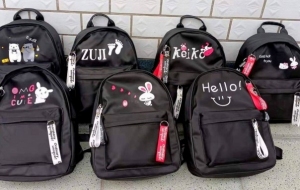 Plecaki szkolne dla dziewczynki (Standard) DN9145
