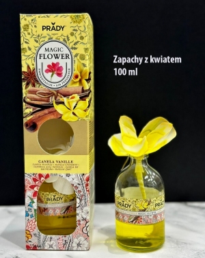 Zapachy do domu (100ml) DH7153