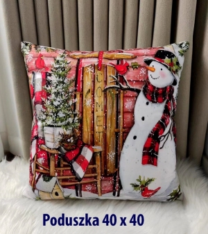 Poduszki (40x40cm) DH7824