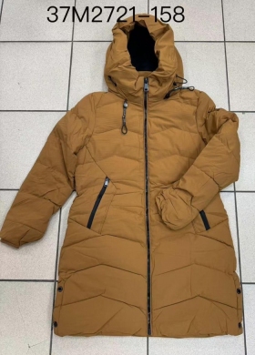 Kurtka damska jesienna (S-XL) NG1745