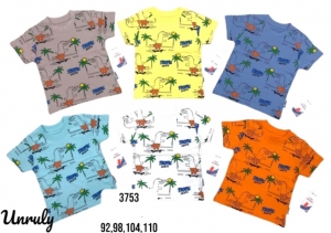 Bluzki chłopięce na krótki rękaw (92-110) TP9543
