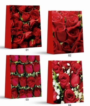 Torba papierowa DH8391