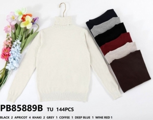 Sweter damski (Standard) NG1071