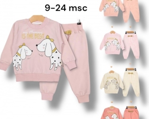 Komplet chłopięcy na długi rękaw (9-24msc) NG554