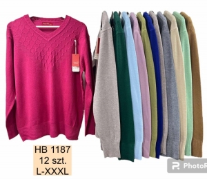 Sweter damski (L-3XL) DH1405