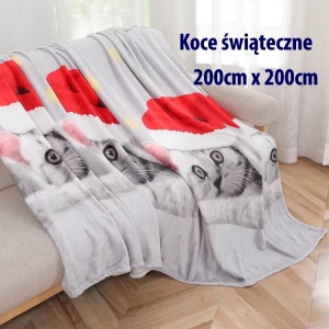 Koc świąteczny (200 x 220) DH2608