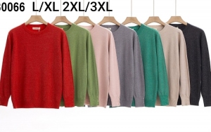 Sweter damski (L-3XL) DH2783