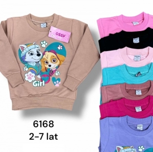 Bluzy chłopięce (2-7lat) NG481