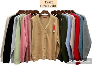 Sweter damski (L-3XL) DH1418