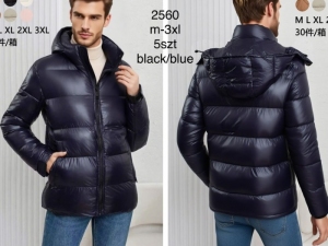 Kurtki męskie jesienne (M-3XL) NG3929