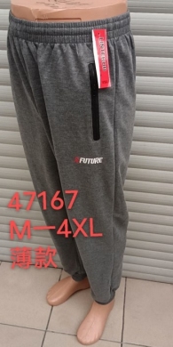 Spodnie dresowe męskie (M-4XL) TPA5512