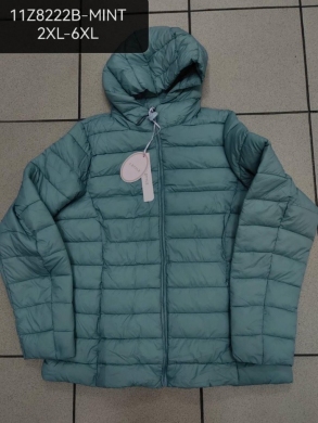 Kurtka damska jesienna (2XL-6XL) NG1452