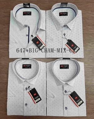 Koszule męskie na krótki rękaw (3/4XL-7/8XL) DH14562