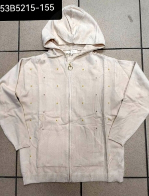 Sweter damski (Standard) NG1104