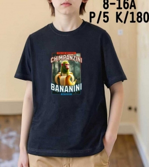 Bluzki chłopięce na krótki rękaw (8-16) SAM159