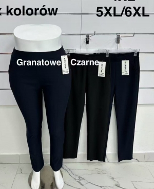 Legginsy damskie (2XL-6XL) NG395