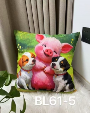 Poszewki (40x40) NG258
