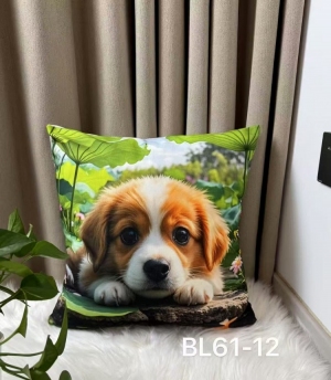 Poszewki (40x40) NG261