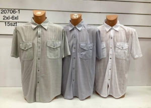 T-shirt męskie na krótki rękaw (2XL-6XL) DH12379